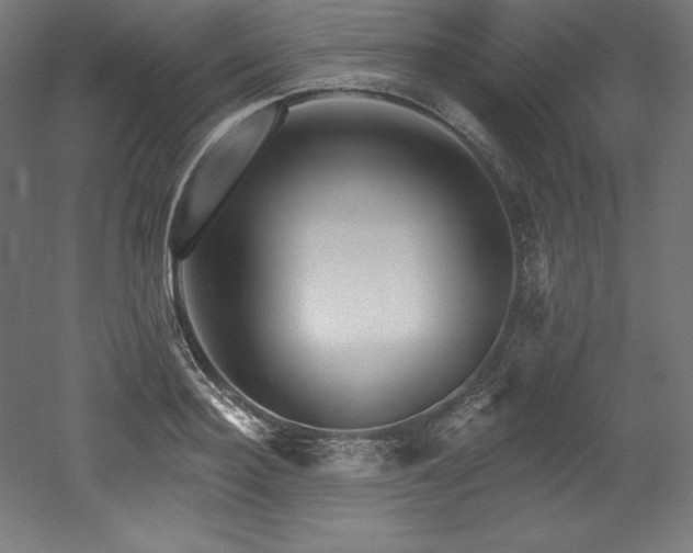 X0000053020940200507081322