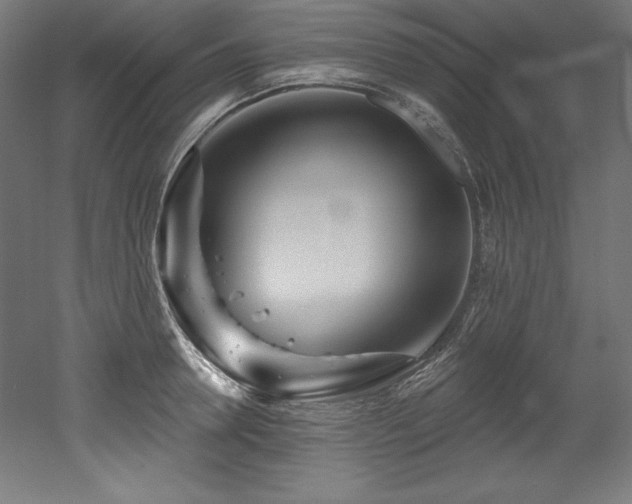 X0000053020946200507081322