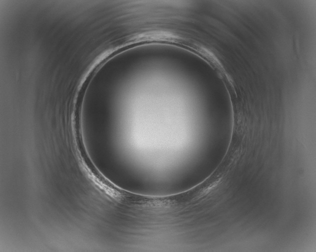 X0000053020947200507081322