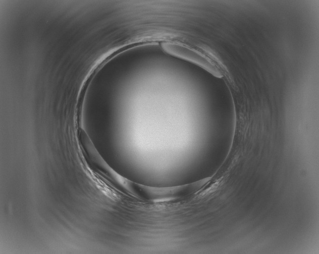X0000053020948200507081322