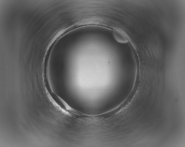 X0000053020949200507081322