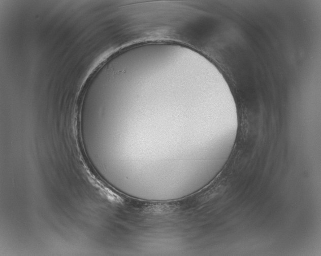X0000053020950200507081322