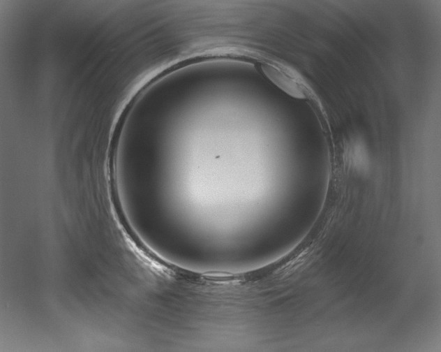 X0000053020951200507081322