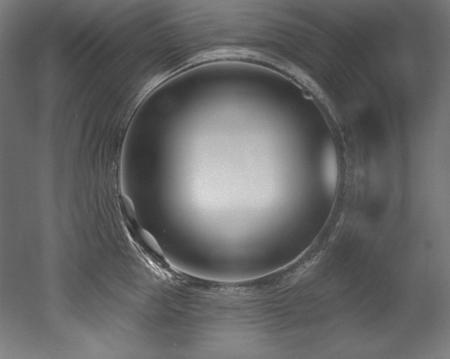 X0000053020953200507081322