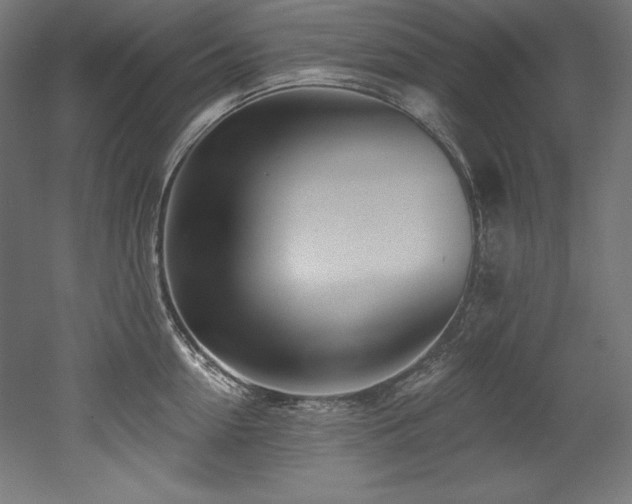 X0000053020954200507081322