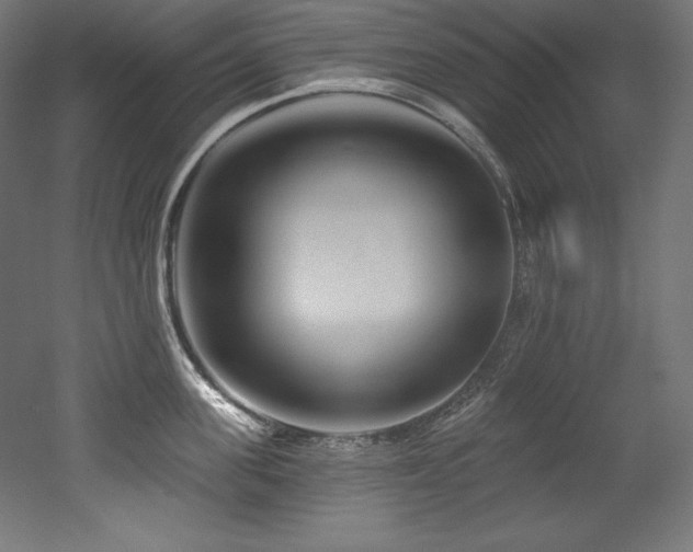 X0000053020955200507081322