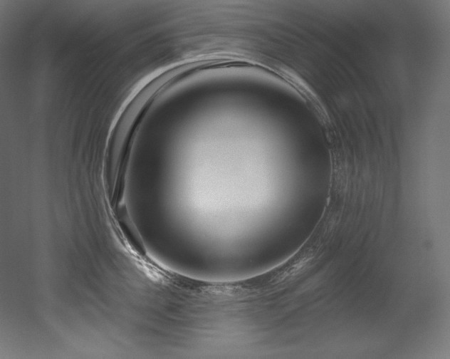 X0000053020956200507081322