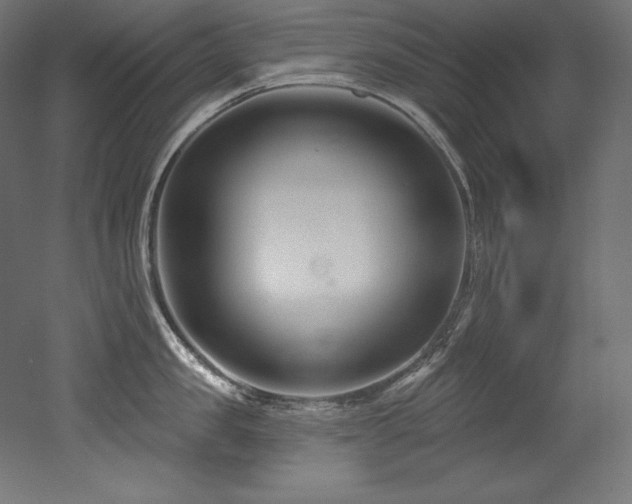 X0000053020957200507081322