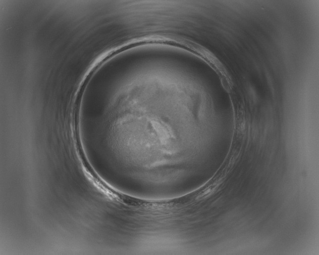 X0000053020958200507081322