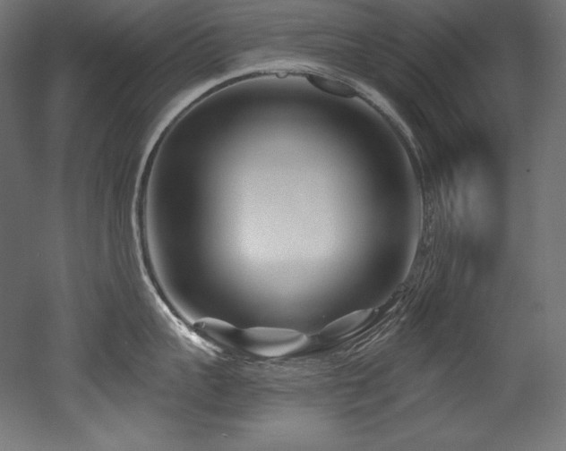X0000053020959200507081322