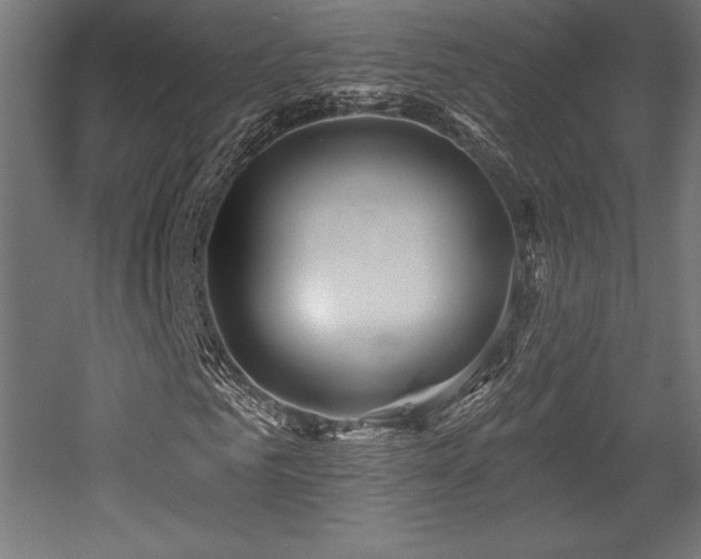 X0000053020961200507081322