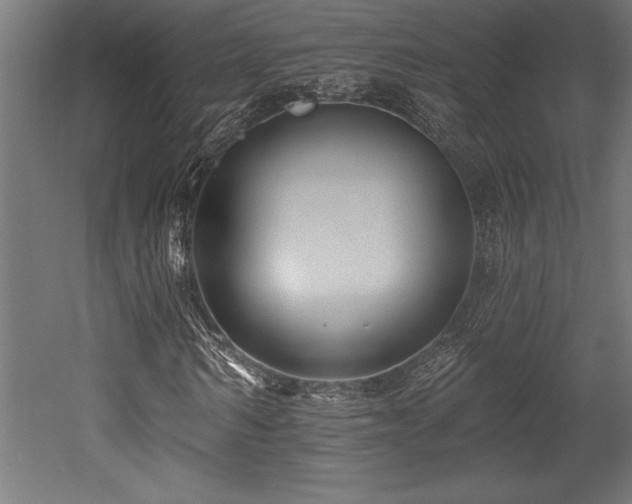 X0000053020962200507081322