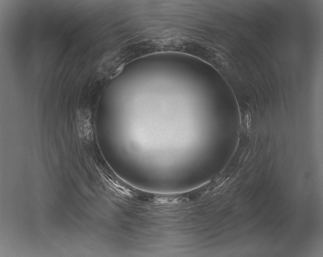 X0000053020963200507081322