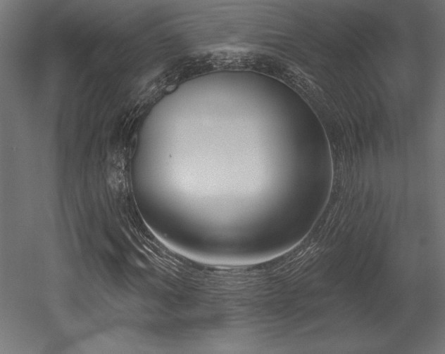 X0000053020964200507081322