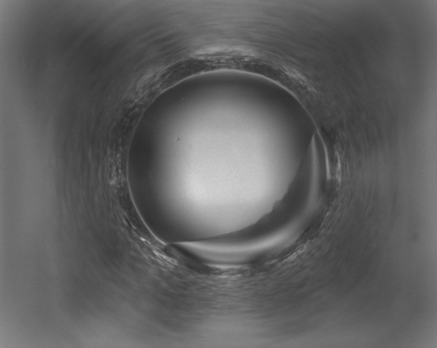 X0000053020965200507081322