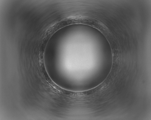 X0000053020966200507081322