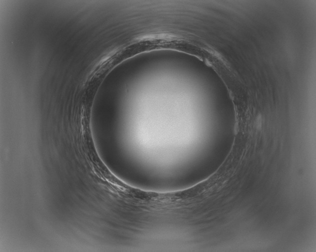 X0000053020967200507081322