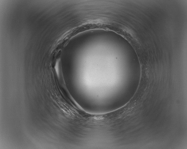 X0000053020968200507081321