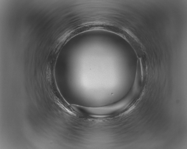 X0000053020969200507081321