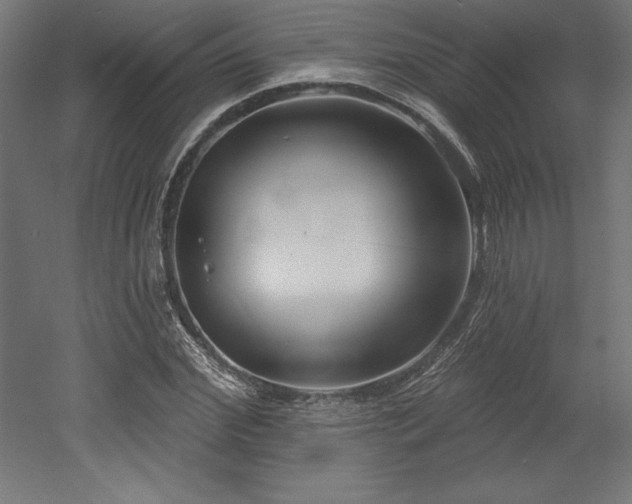 X0000053020972200507081321