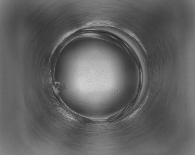 X0000053020973200507081321