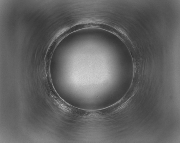 X0000053020974200507081321