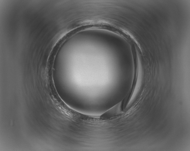 X0000053020975200507081321