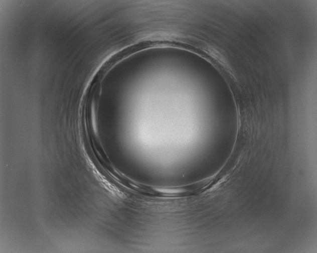 X0000053020976200507081321