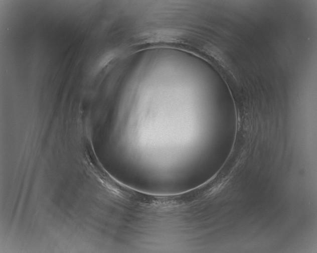 X0000053020978200507081321