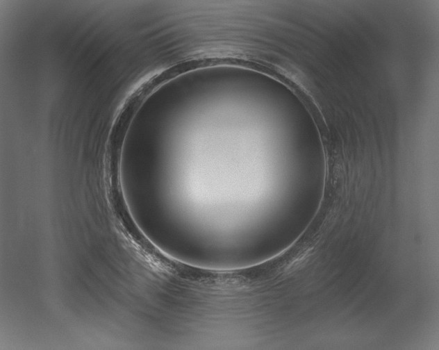 X0000053020979200507081321