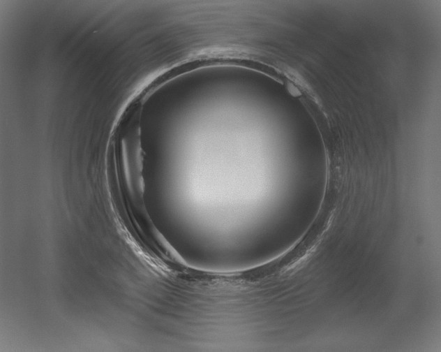 X0000053020981200507081321