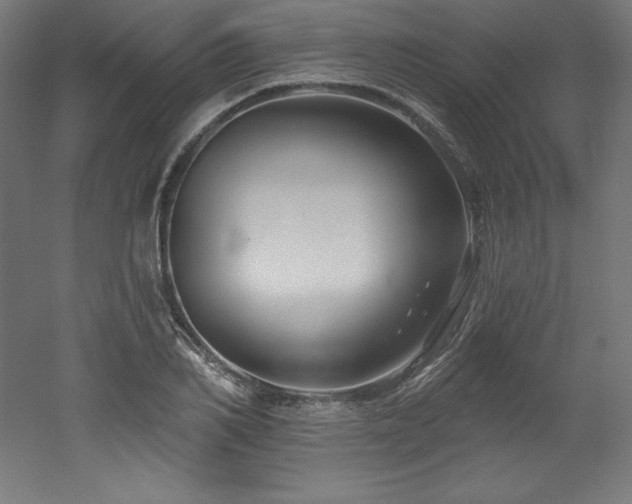 X0000053020982200507081321