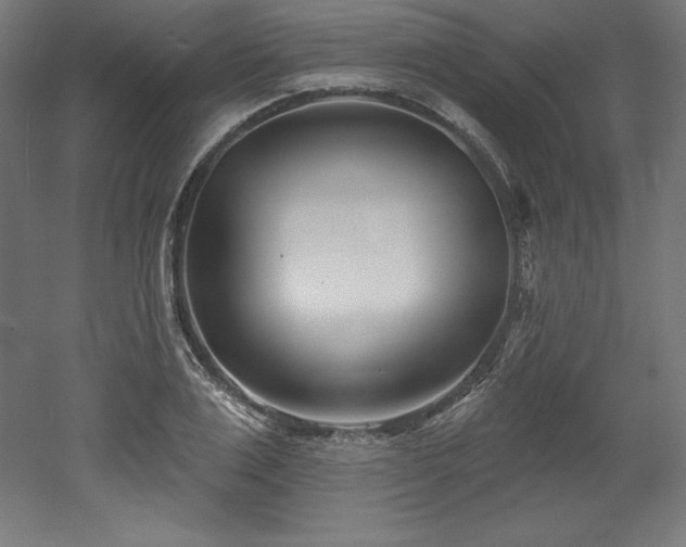 X0000053020983200507081321