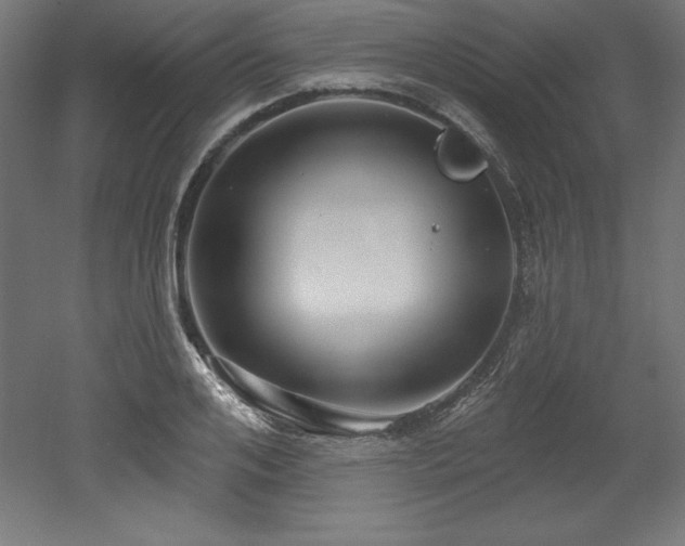 X0000053020984200507081321