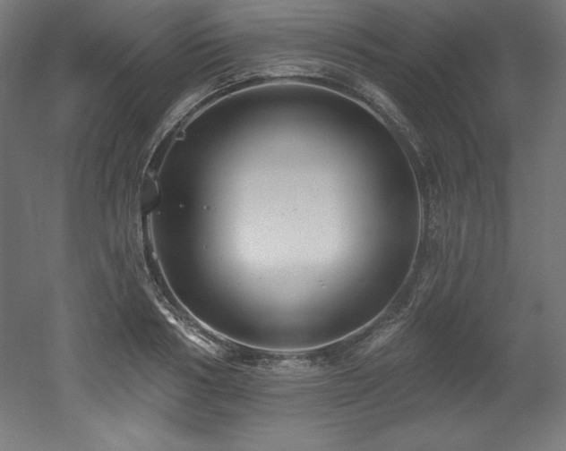 X0000053020986200507081321