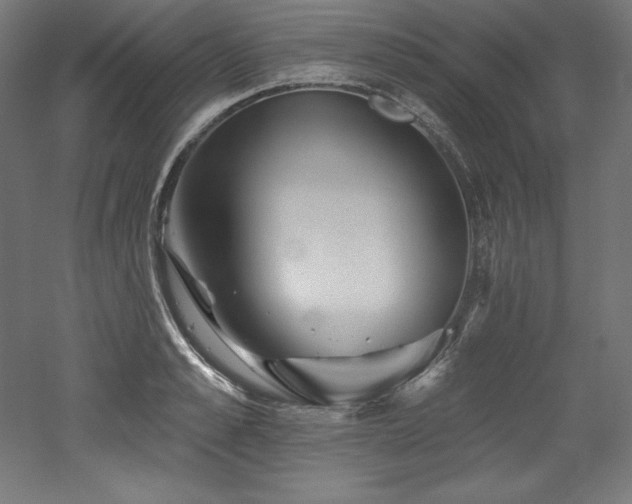 X0000053020989200507081321