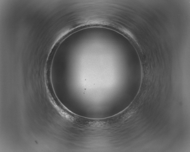 X0000053020991200507081321