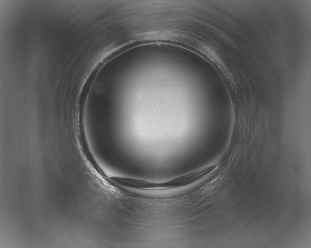 X0000053020992200507081321