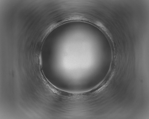 X0000053020993200507081321