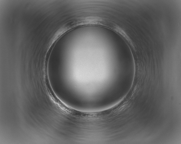 X0000053020994200507081321