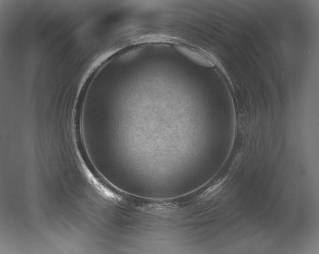 X0000053020995200507081321