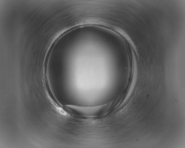 X0000053020996200507081321