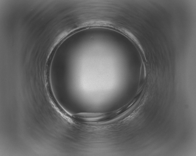 X0000053020997200507081321