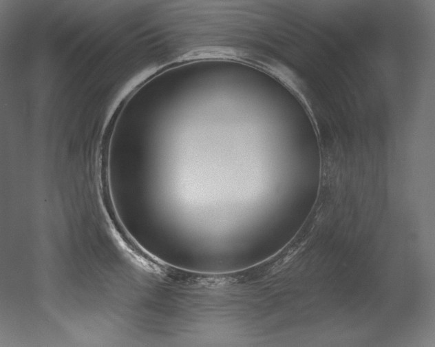 X0000053021003200507081321