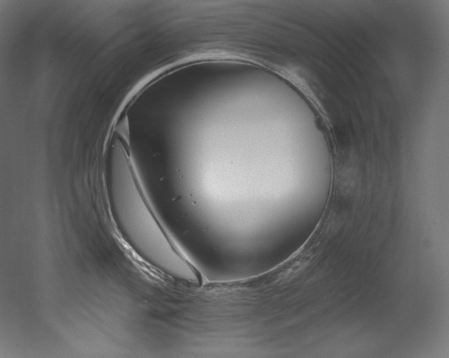 X0000053021004200507081321