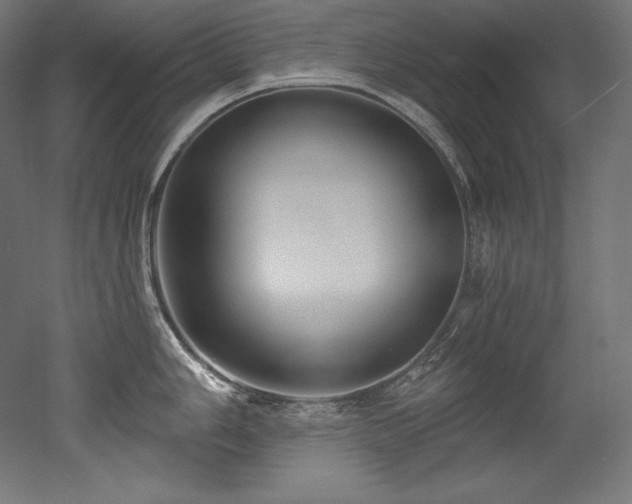 X0000053021006200507081321