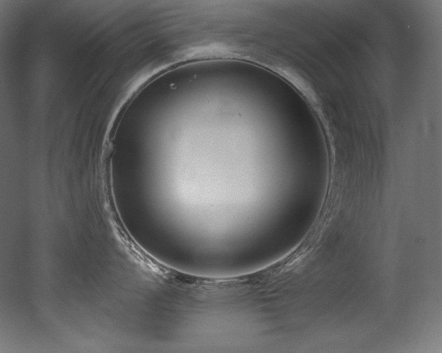 X0000053021008200507081321