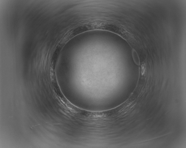 X0000053021011200507081320