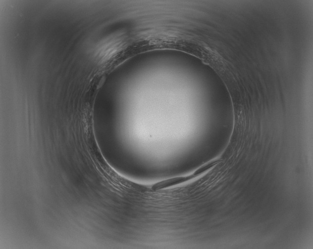X0000053021012200507081320