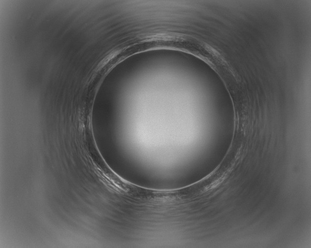 X0000053021017200507081320